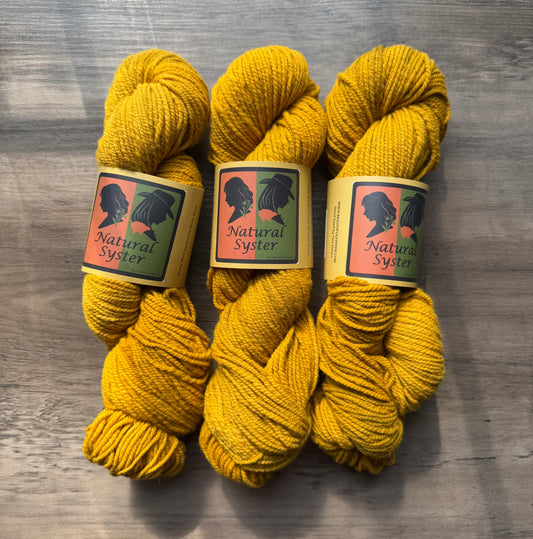 Targhee/Babydoll Marigold