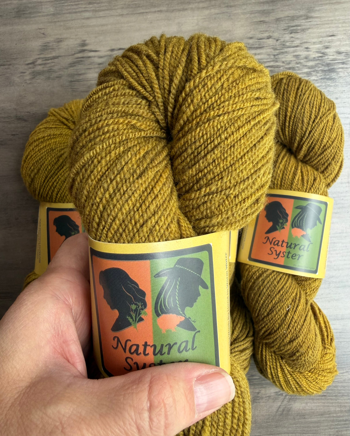 Targhee/Babydoll Marigold/Logwood Sport Weight