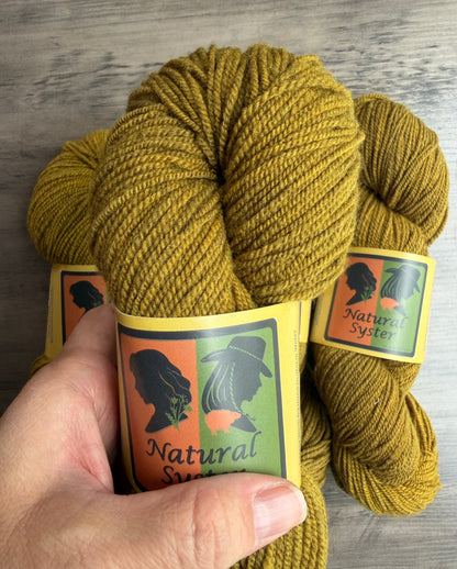 Targhee/Babydoll Marigold/Logwood Sport Weight