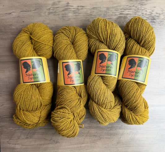 Targhee/Babydoll Marigold/Logwood Sport Weight