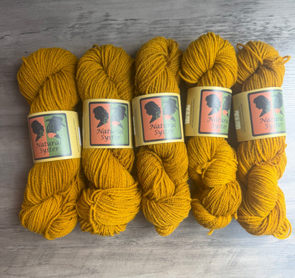 Targhee/Babydoll Marigold  Butternut DK