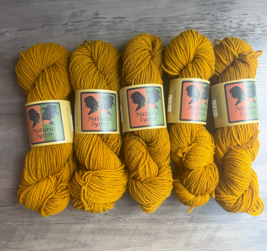 Targhee/Babydoll Marigold  Butternut DK