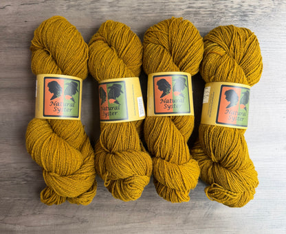 Targhee/Babydoll Marigold Brazilwood Sport Weight