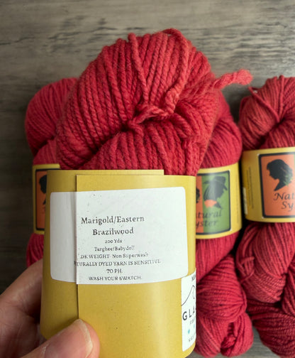 Targhee/Babydoll Marigold/ Eastern Brazilwood DK
