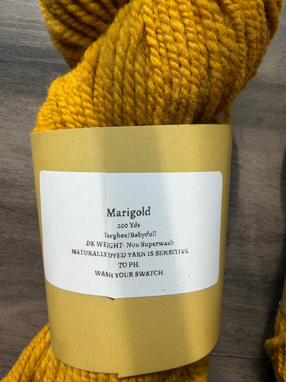Targhee/Babydoll Marigold