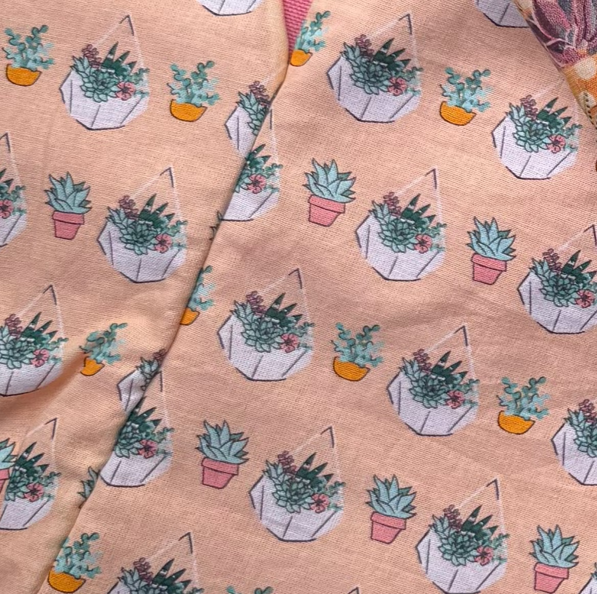 Succulents for Katelynn
