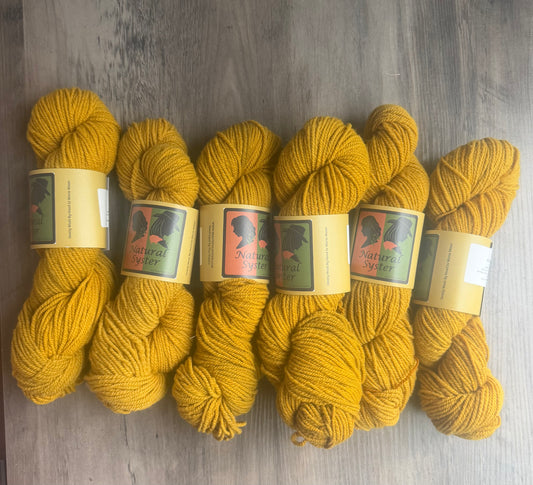 Targhee/Babydoll Marigold