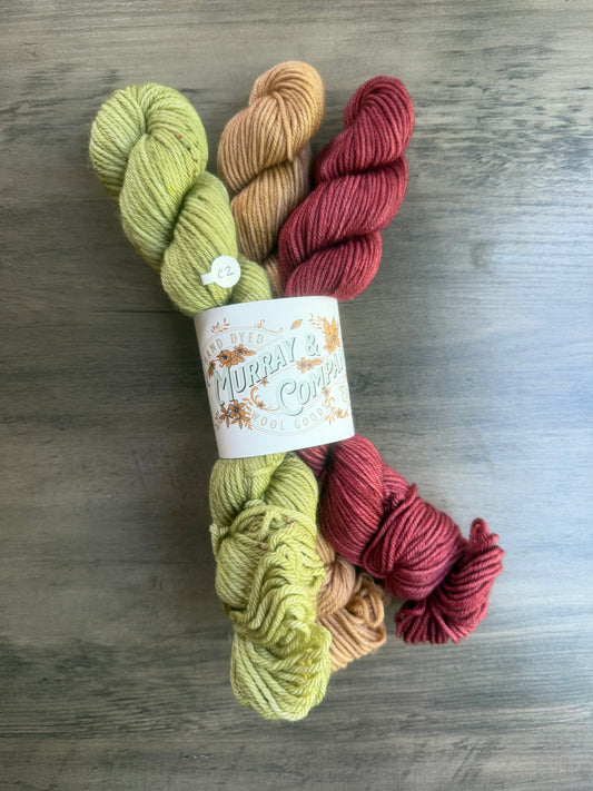 Mushroom Gnome DK weight/Worsted weight Minis