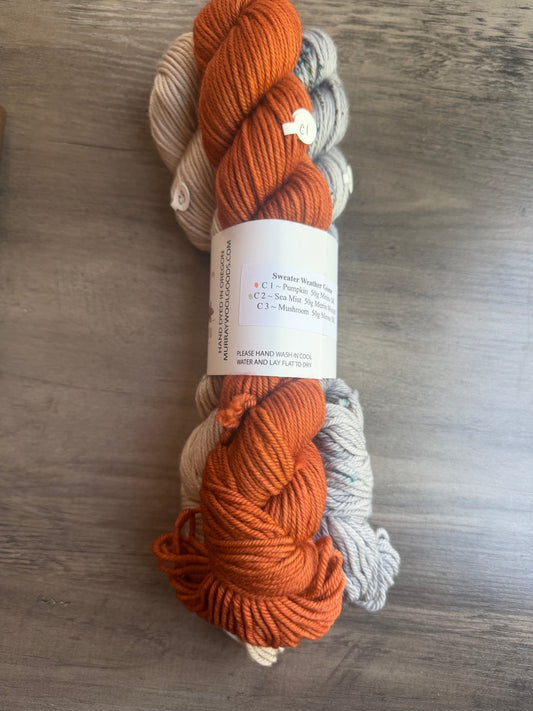 Sweater Weather DK weight/Worsted weight