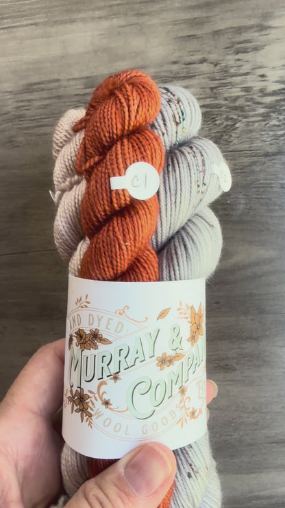 Sweater Weather Hillary Bag with Fingering Weight minis
